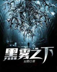 黑雾之下职阶全部图解